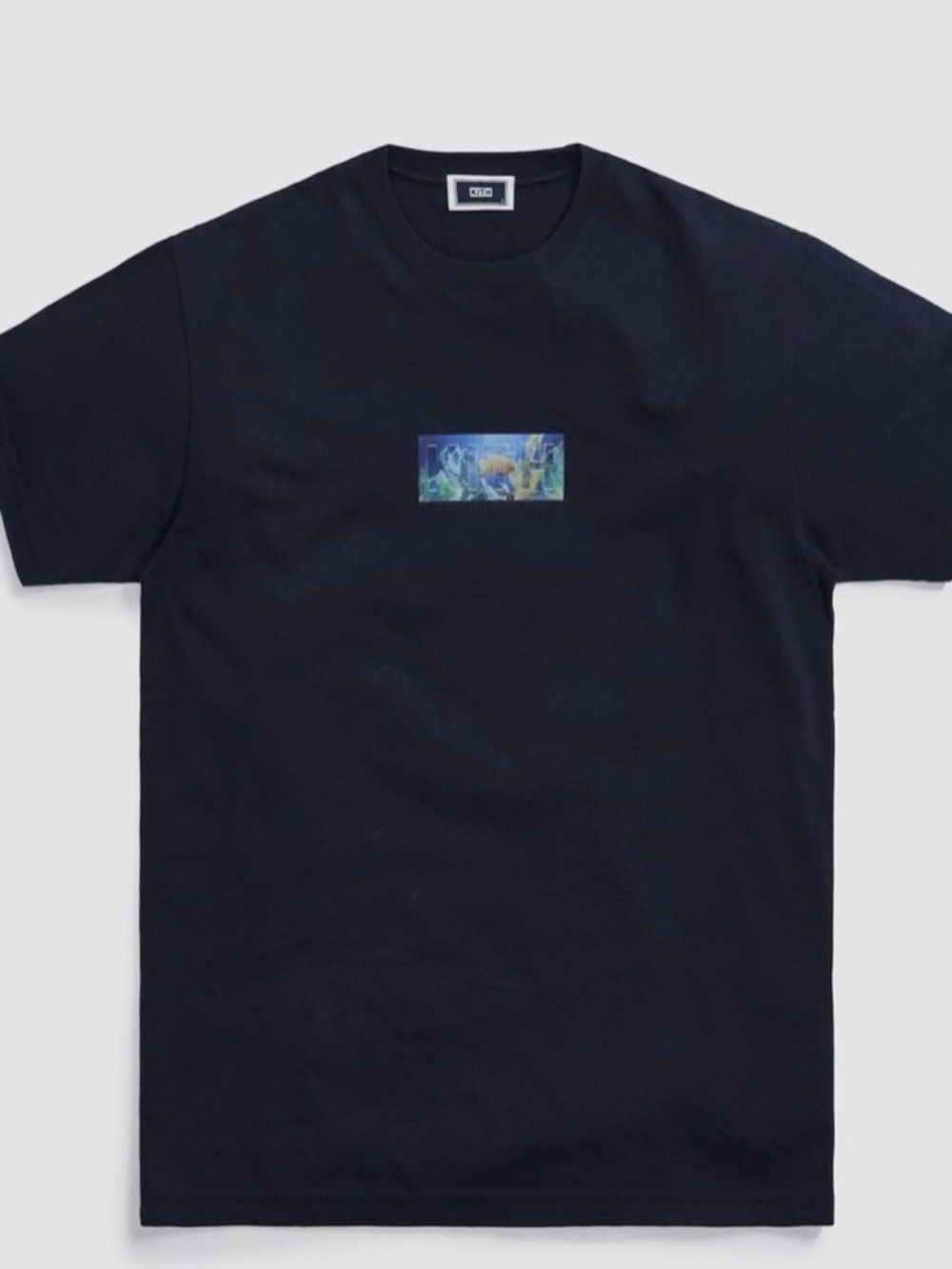 Kith Navy fish tank Tee